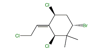 Apakaochtodene B